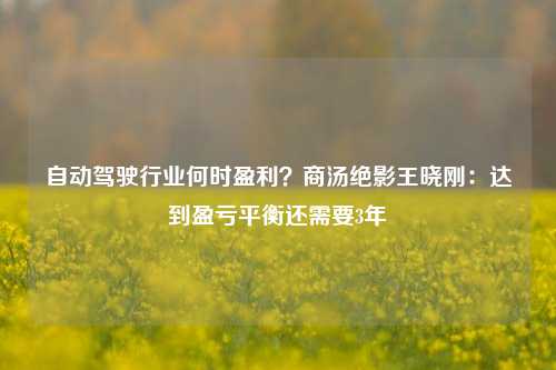 自动驾驶行业何时盈利？商汤绝影王晓刚：达到盈亏平衡还需要3年-第1张图片-徐州汽车网