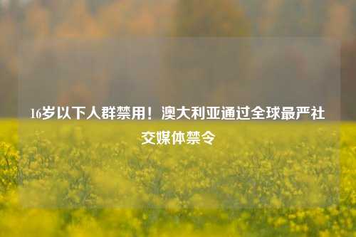 16岁以下人群禁用！澳大利亚通过全球最严社交媒体禁令-第1张图片-徐州汽车网