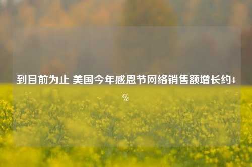 到目前为止 美国今年感恩节网络销售额增长约4%-第1张图片-徐州汽车网