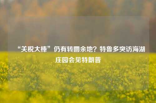 “关税大棒”仍有转圜余地？特鲁多突访海湖庄园会见特朗普-第1张图片-徐州汽车网