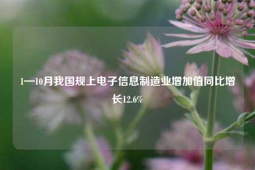 1—10月我国规上电子信息制造业增加值同比增长12.6%-第1张图片-徐州汽车网